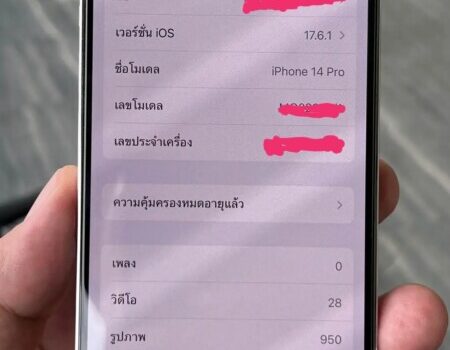 1000061216