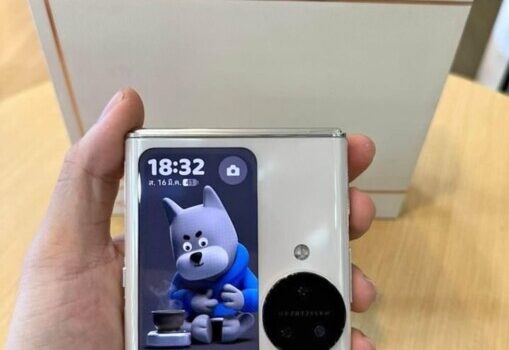 1000073348